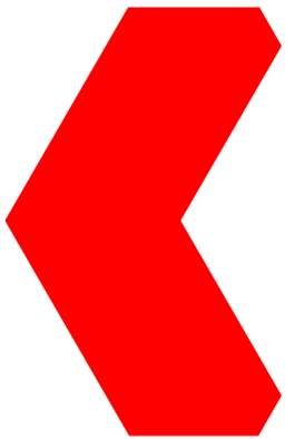 Primary Raster logo